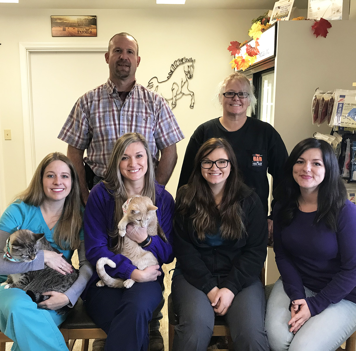 About Our Veterinary Hospital Palmyra Veterinary Clinic